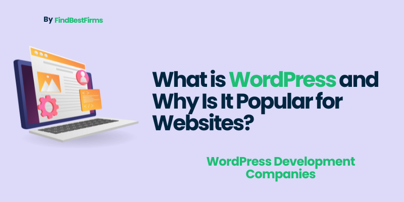what-is-wordpress-and-why-is-it-popular-for-websites/